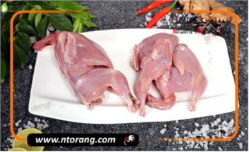 مهمترین خواص و مزایای گوشت بلدرچین